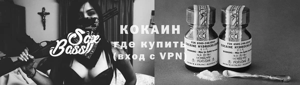 не бодяженный Алексин