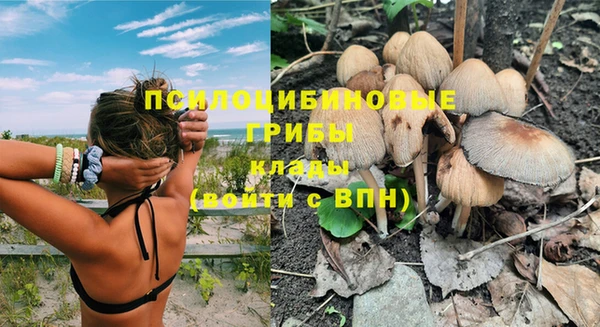не бодяженный Алексин