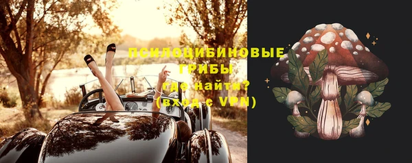 не бодяженный Алексин