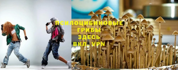 не бодяженный Алексин