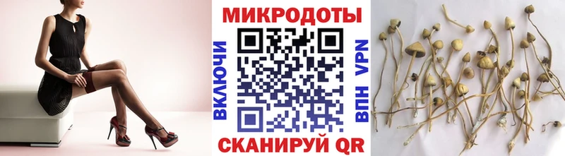 цены наркотик  Льгов  Галлюциногенные грибы Psilocybine cubensis 